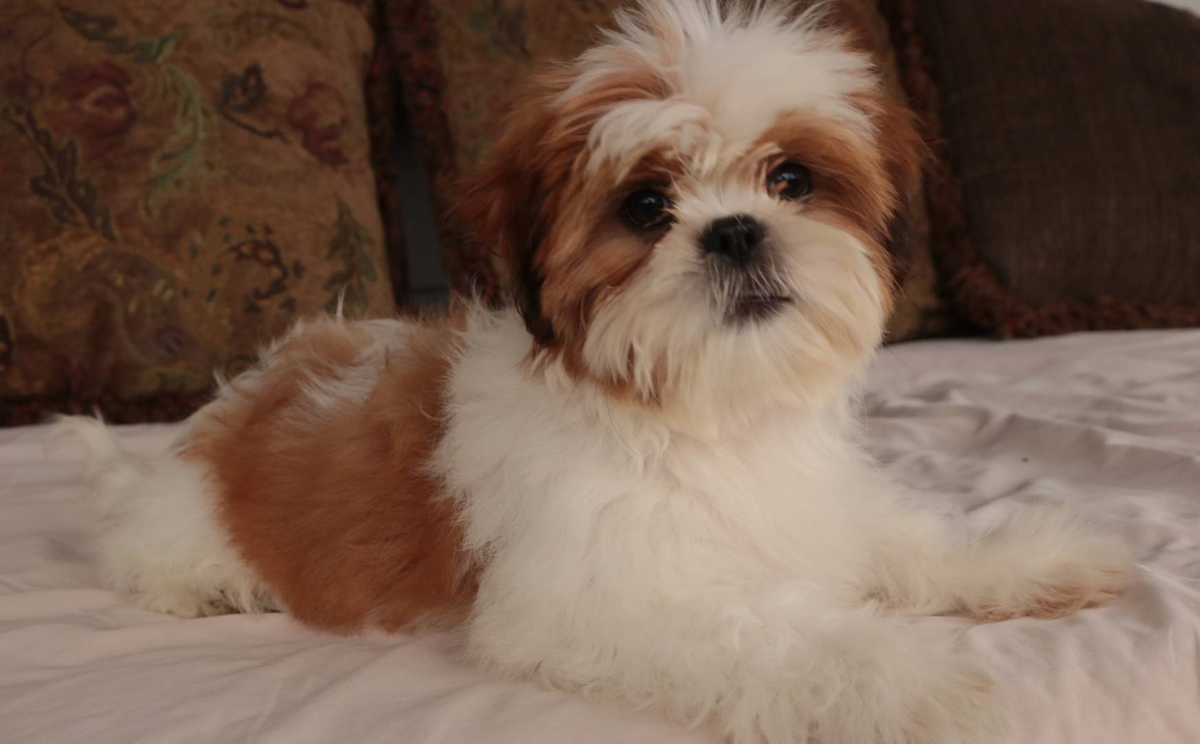 750951df-b725-4147-9b47-39dda7e9c748/listing/0441de9a-a18c-4fb4-9e28-ba51ec19ecbe/5dddccb4-1712-4e31-9bf3-67ddefda65dc