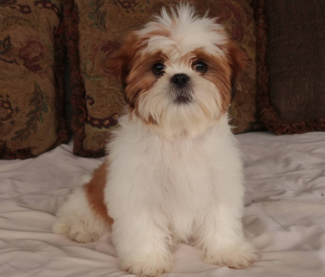 750951df-b725-4147-9b47-39dda7e9c748/listing/0441de9a-a18c-4fb4-9e28-ba51ec19ecbe/6b53de45-0030-4968-b0b3-4feb9ff16437