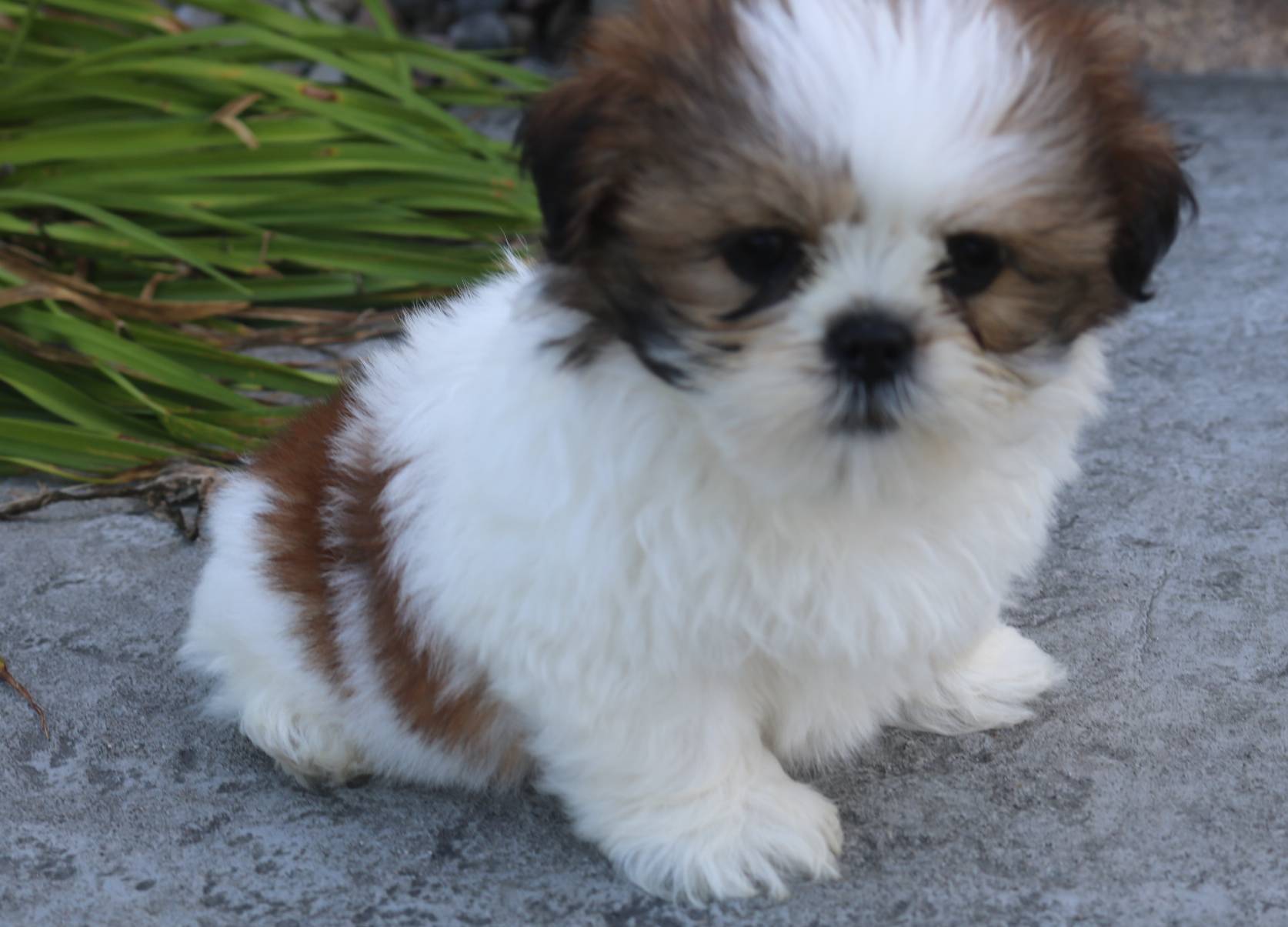 750951df-b725-4147-9b47-39dda7e9c748/listing/0441de9a-a18c-4fb4-9e28-ba51ec19ecbe/864e24bb-9d8c-474d-a794-50a6b5dba648