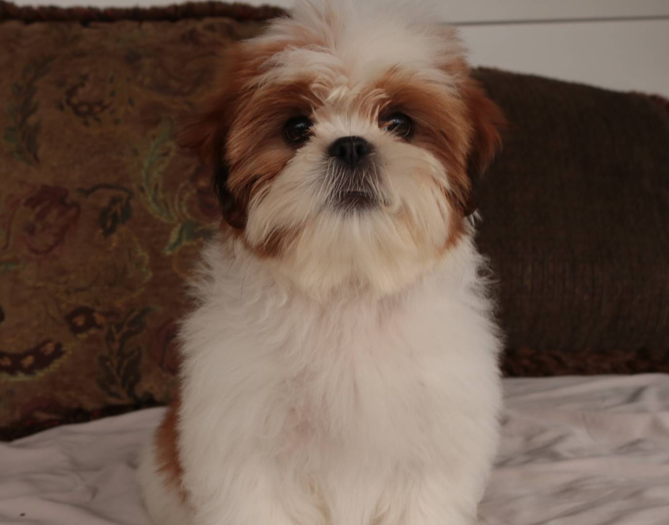 750951df-b725-4147-9b47-39dda7e9c748/listing/0441de9a-a18c-4fb4-9e28-ba51ec19ecbe/cb9686a4-fc86-4a96-bbb0-fd463ed76fd8