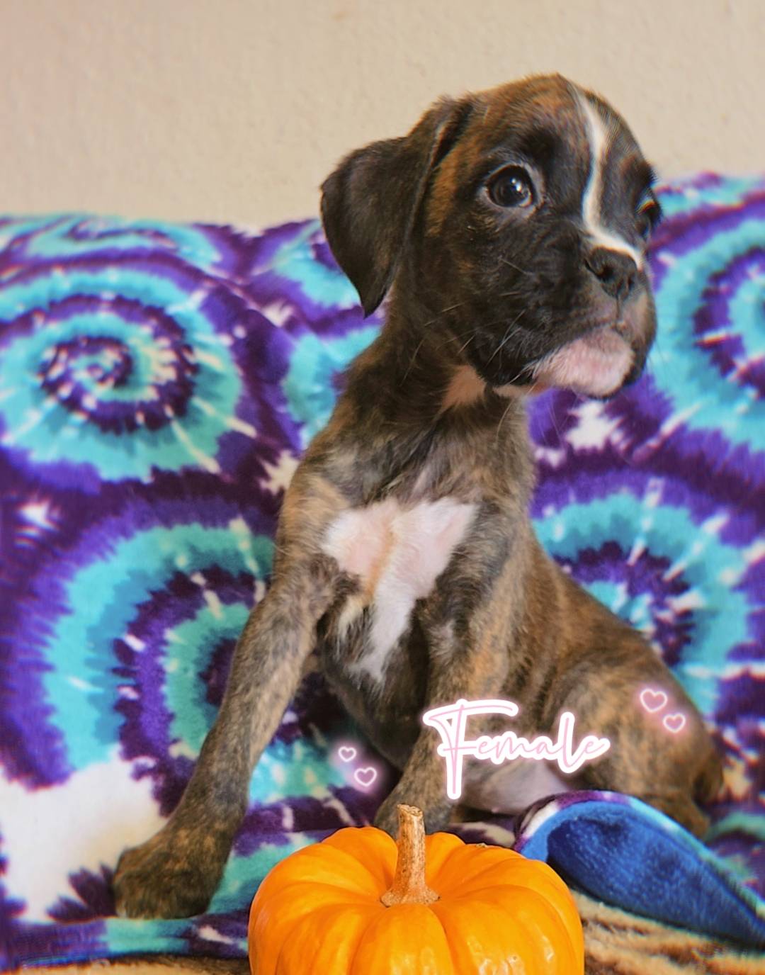 76535d69-5950-4b60-8075-b38e83aecdf7/listing/b73ec3df-7697-44a7-948d-1a7bd64f184a/9875de95-7da0-44e5-a2ee-835e7bd33d10