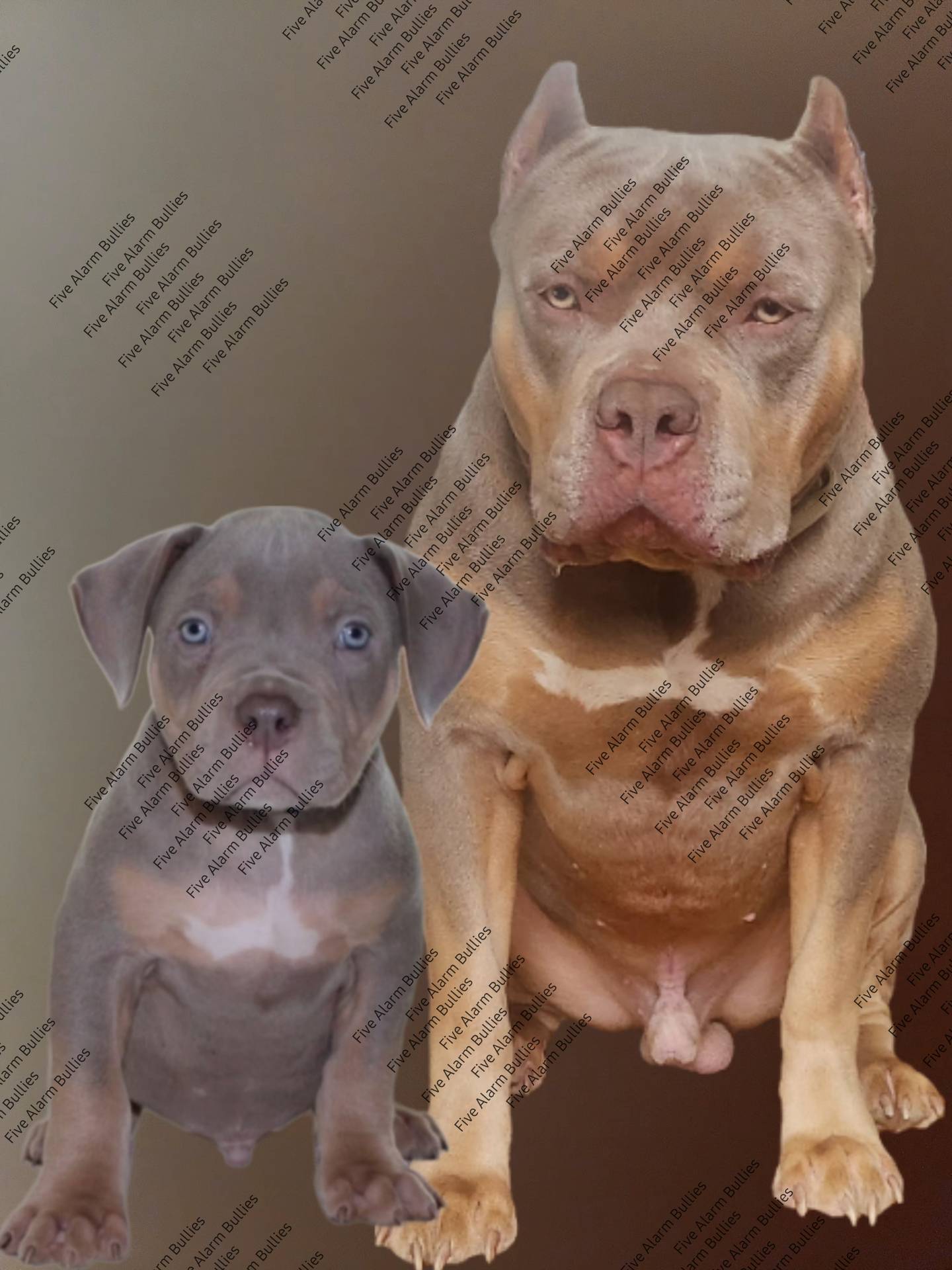 7910f1f4-0bfd-471e-ad42-b212a3c1bfec/facility/9a8d27ae-89a3-4ef6-9055-84b1456f7383