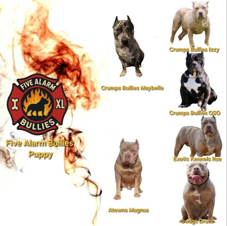 7910f1f4-0bfd-471e-ad42-b212a3c1bfec/facility/d30cb26b-6829-43e1-b0e9-3817ce73fb58