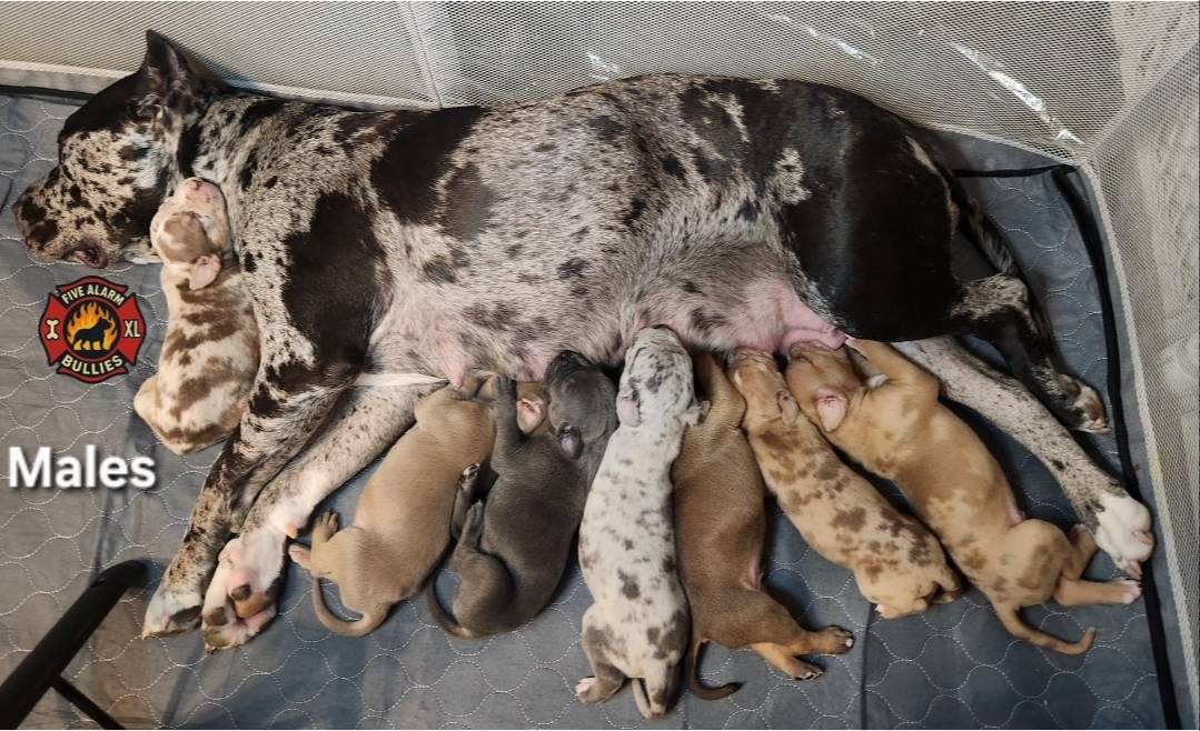 7910f1f4-0bfd-471e-ad42-b212a3c1bfec/facility/dd1b4966-61b4-4d1c-b1b2-04b677806820