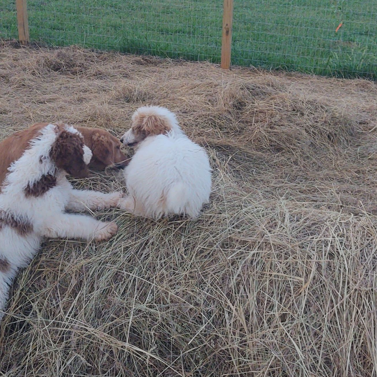 7d2ac55f-954d-47ba-828c-7cce68f01b83/facility/fe597183-7e32-4ea5-9e4f-75c5bc14d3ab