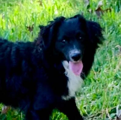 7fd05058-eca9-4e79-85ea-a61bd5404ab0/listing/458f3a7d-fb2e-4c31-a784-67ea97f6ecb3/af5b614b-fa70-4822-82dc-4213cdcaa8d1