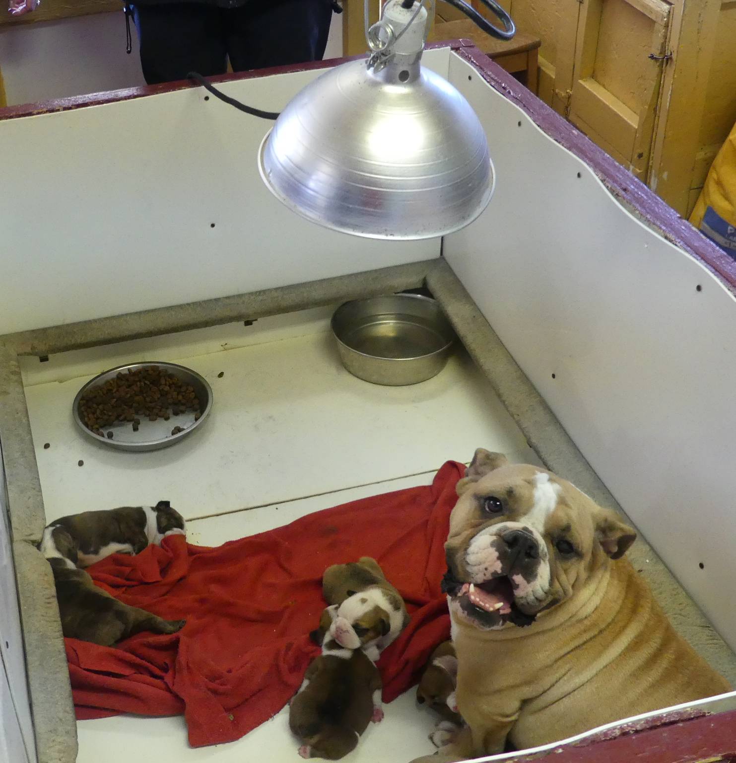 80c7d41a-2f99-450b-89e2-54cdf307fd3f/facility/c9acb6de-3e5d-4eb2-a1e1-42d8bf0c35ea