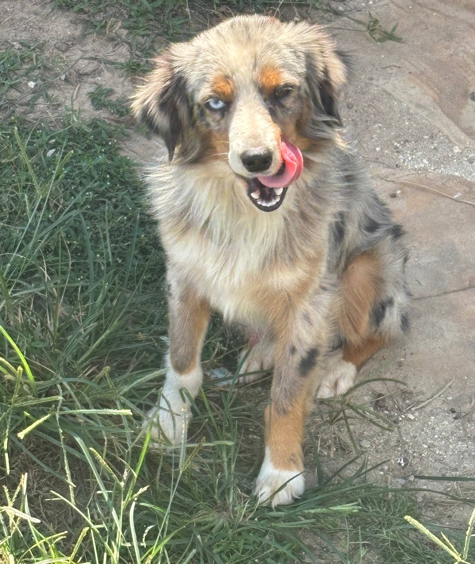 823abf6c-6394-40b9-8a25-16b69247bd48/listing/88e54f07-375b-44cf-9eed-21b6fcb1532e/fc1456b1-9369-46f4-952d-6a0f39edbd0e