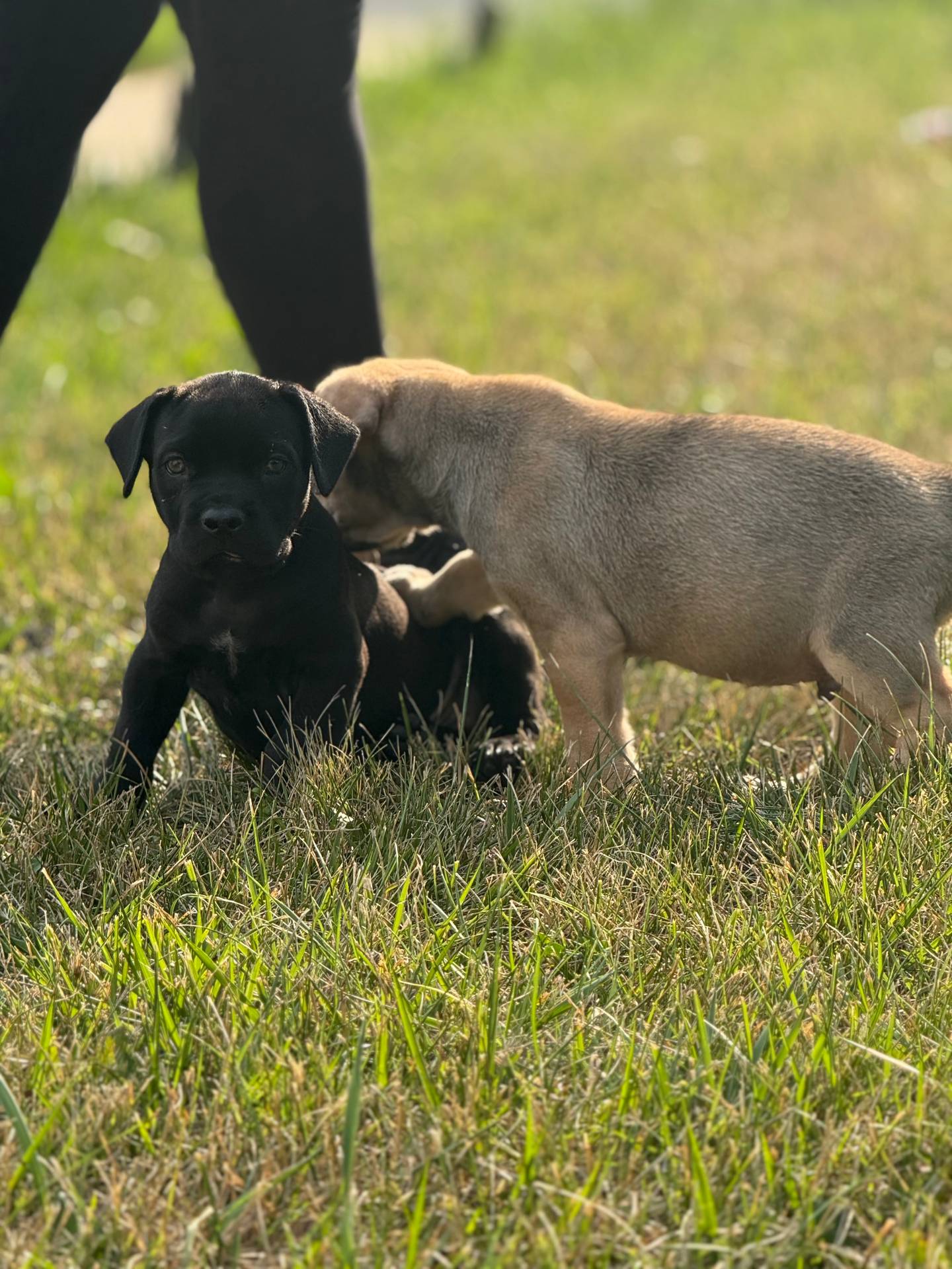 834d7b6a-07c5-4ea7-a44d-24e872e37a47/listing/2f519b52-e9d2-47ac-840c-ae1537035a0d/a3139c1a-0a18-4299-9618-66066b87df5c