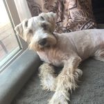 8888cf35-3971-42d8-a430-e13763f7b6cb/facility/653cd6dd-5f4e-4ce4-975f-880a170aee1f