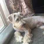 8888cf35-3971-42d8-a430-e13763f7b6cb/facility/7a1c5ac0-88be-48ca-bf79-bc1f8180f8b5