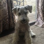 8888cf35-3971-42d8-a430-e13763f7b6cb/facility/ed9472cd-7e29-437c-9acd-123ad78d9511