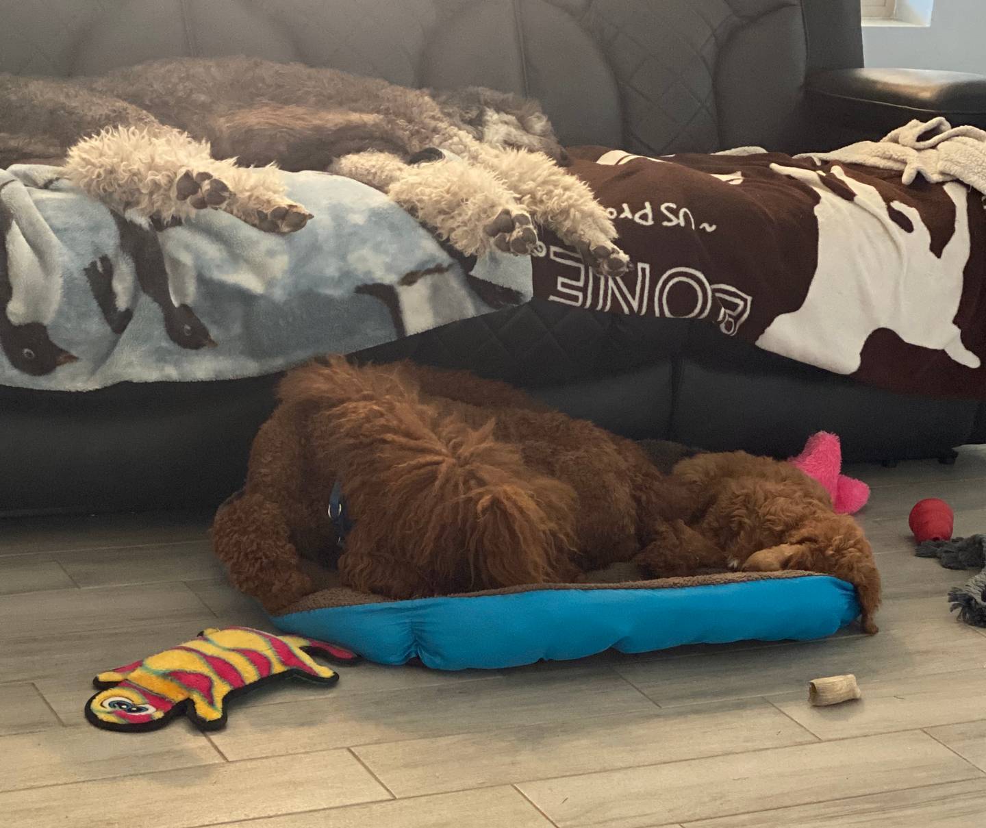 89ac0131-ebe1-4437-9b84-afd12c5b7db9/facility/1bf7c935-4b96-4a19-85a5-4cc9787ceac9