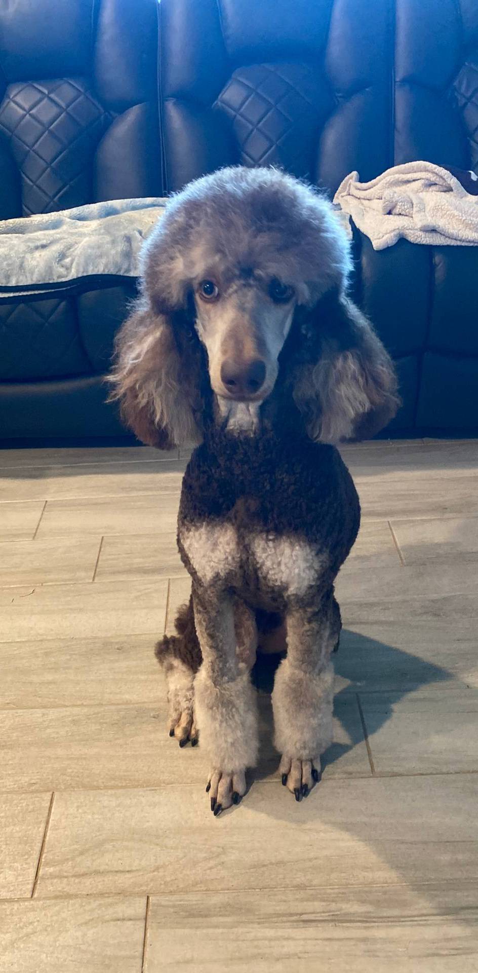 89ac0131-ebe1-4437-9b84-afd12c5b7db9/facility/6f86f86a-cba7-42d6-bfdf-9e99fef73660