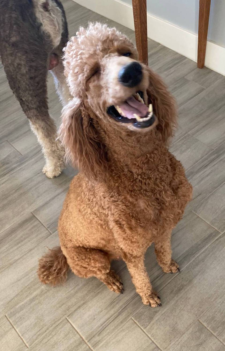 89ac0131-ebe1-4437-9b84-afd12c5b7db9/facility/95e6dcaa-2295-4407-b65d-688d1134d4eb