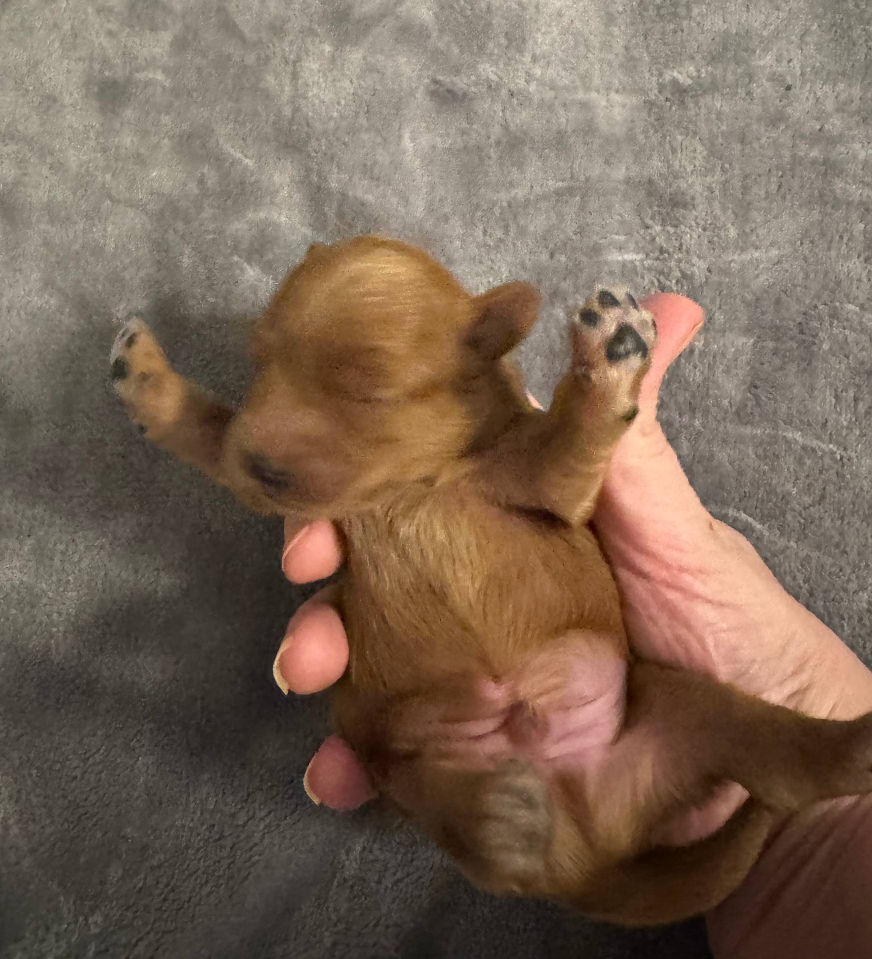 8a9efacc-0015-4e9a-9427-ba5a57b448b0/listing/7925e83d-e086-4088-95bb-0def32fcc66b/b3c9ed91-a887-4047-98e4-8deedd93f1d6