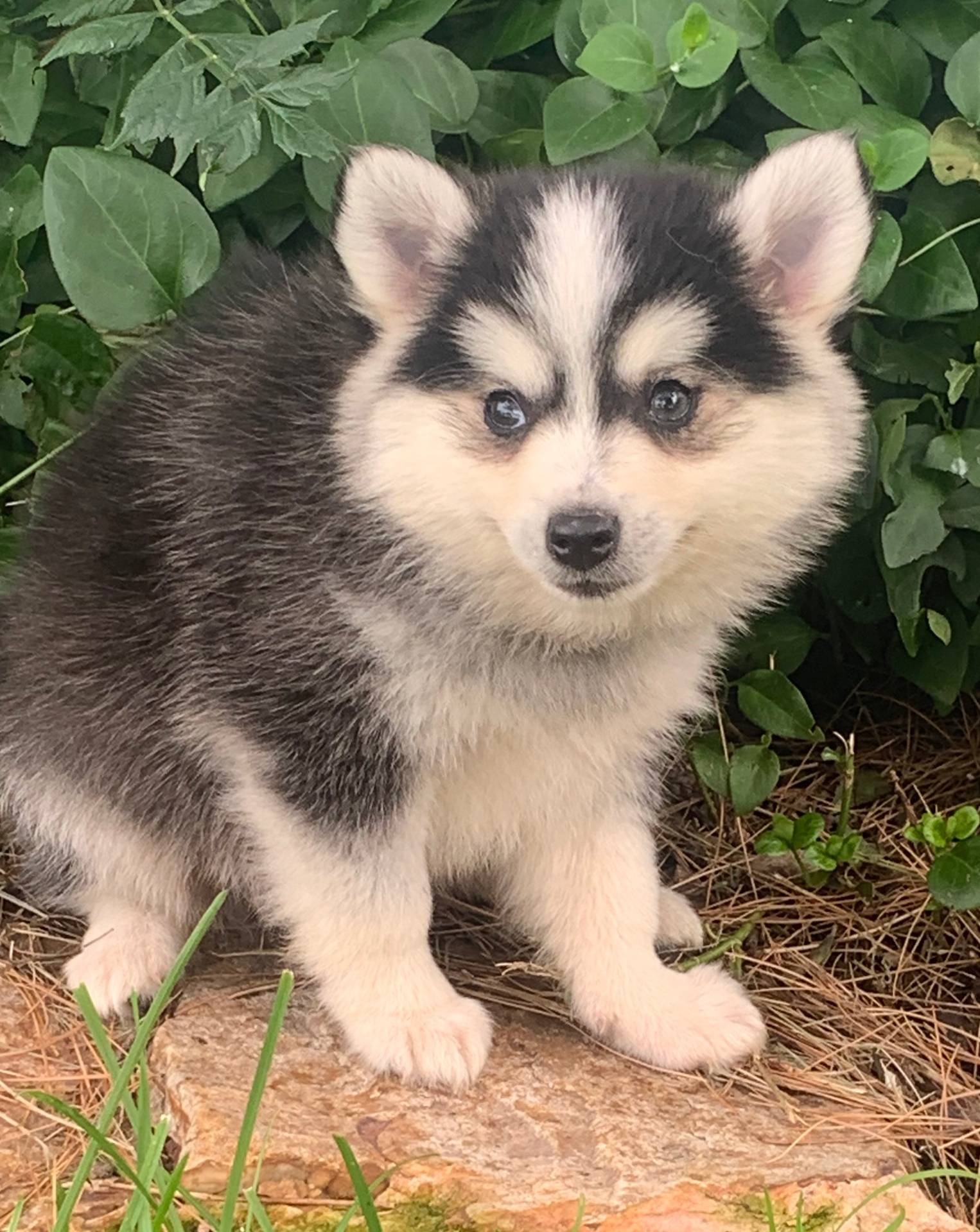 8ea83dac-36b2-4ba8-8653-925064001fad/listing/84b1696f-3057-4bf4-b010-206463bcedf4/63536fac-31a2-4a3c-bf30-ebe260545fd7