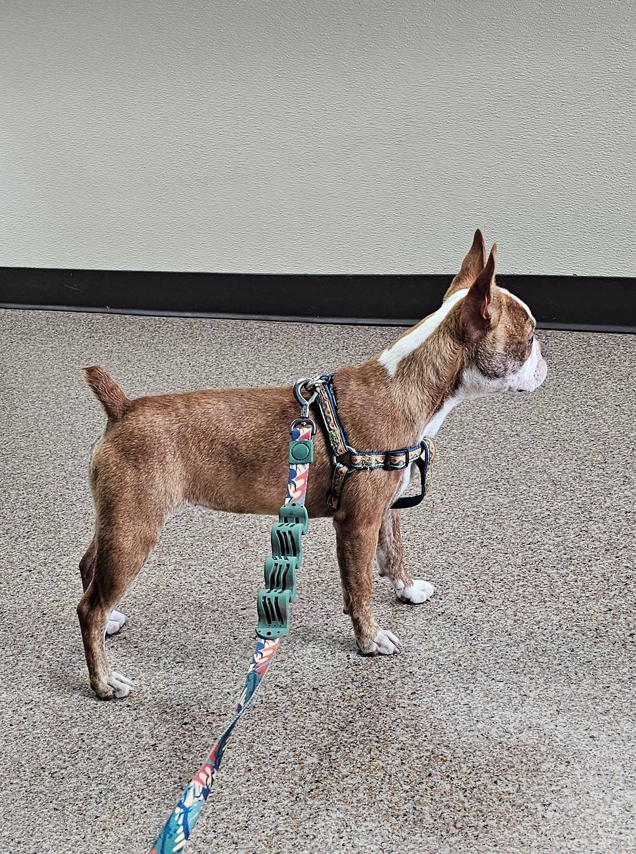 98fa837e-869b-4169-89cd-9f6765651268/facility/47510921-2604-4440-80d7-a1c835374834