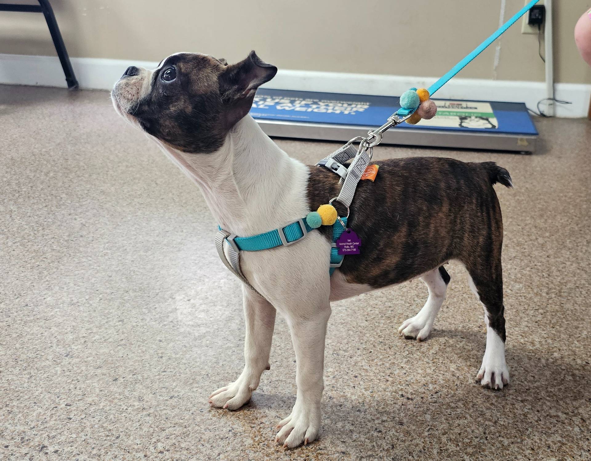 98fa837e-869b-4169-89cd-9f6765651268/facility/dba021cd-e0df-4ab4-be23-d50f2c8a9319