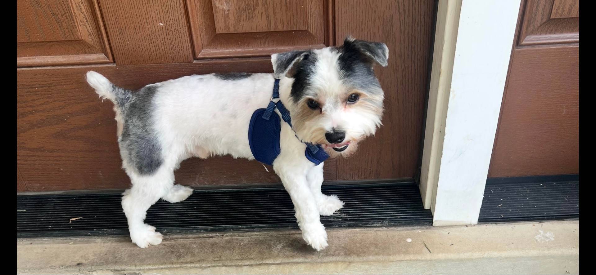 99915d35-21df-4032-88c7-ccc8176c6b2c/facility/11c485b2-fcdf-49a7-960c-2c3fd5aa0927