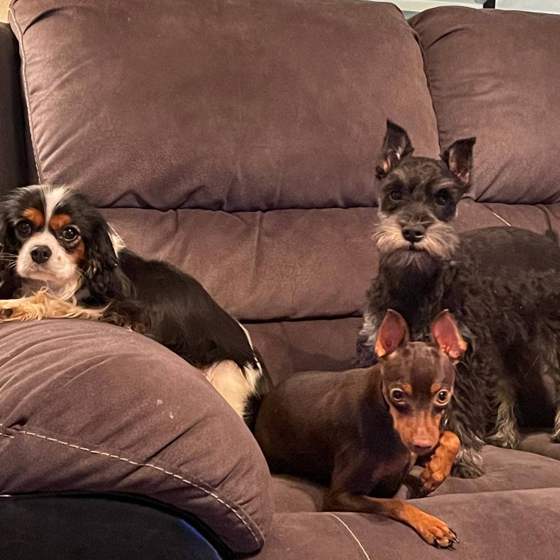 9a437beb-dba1-4e7b-bd54-5d5663bb3b09/facility/feb53fee-75dc-42a0-af18-470ef002148b