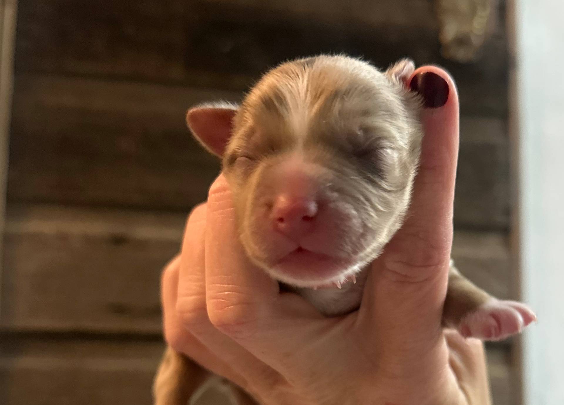 9a9368cc-132f-4923-90a2-df2ba5aaf076/listing/326ceb3c-ed1c-47ed-ab04-e271826a8c18/f922fc2e-9add-40bb-8058-53ff0b460861