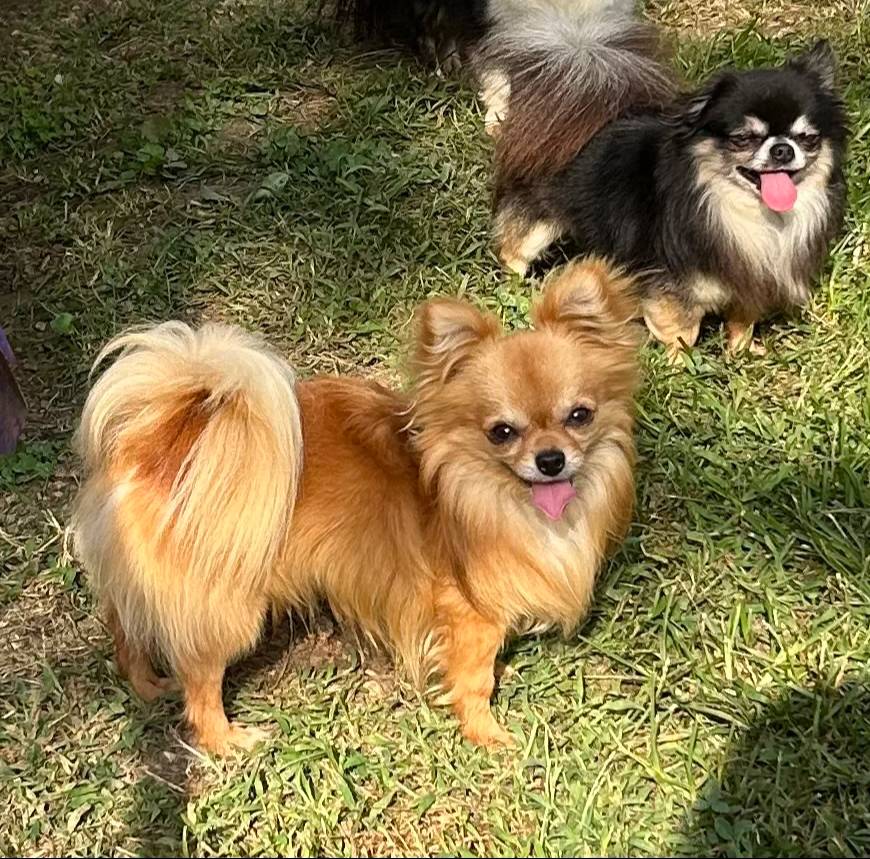 9e45851b-0cee-47be-aba0-465d4da7fd29/facility/bc229363-1770-451e-9b7f-aaa0d9d8ccc5