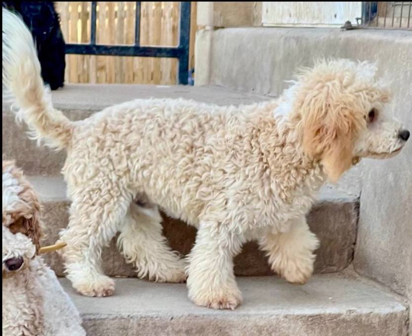 a2a940c2-0852-4fd2-a2b9-3ecabe0d3732/listing/9e0caaa8-0cc3-4cdd-8112-b9fa8c7e7e27/2a6acb4a-fbc8-4904-a0ee-6d7784a2f7fb