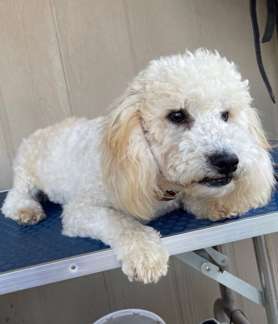 a2a940c2-0852-4fd2-a2b9-3ecabe0d3732/listing/9e0caaa8-0cc3-4cdd-8112-b9fa8c7e7e27/4e8a8814-ae8e-4048-a393-6b661a587d5b