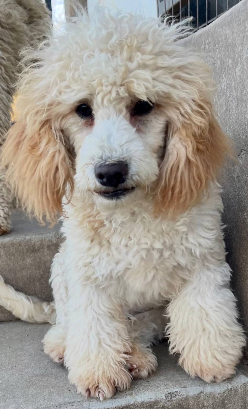 a2a940c2-0852-4fd2-a2b9-3ecabe0d3732/listing/9e0caaa8-0cc3-4cdd-8112-b9fa8c7e7e27/f5226b57-1b0a-4f42-8e26-5e2a39789190