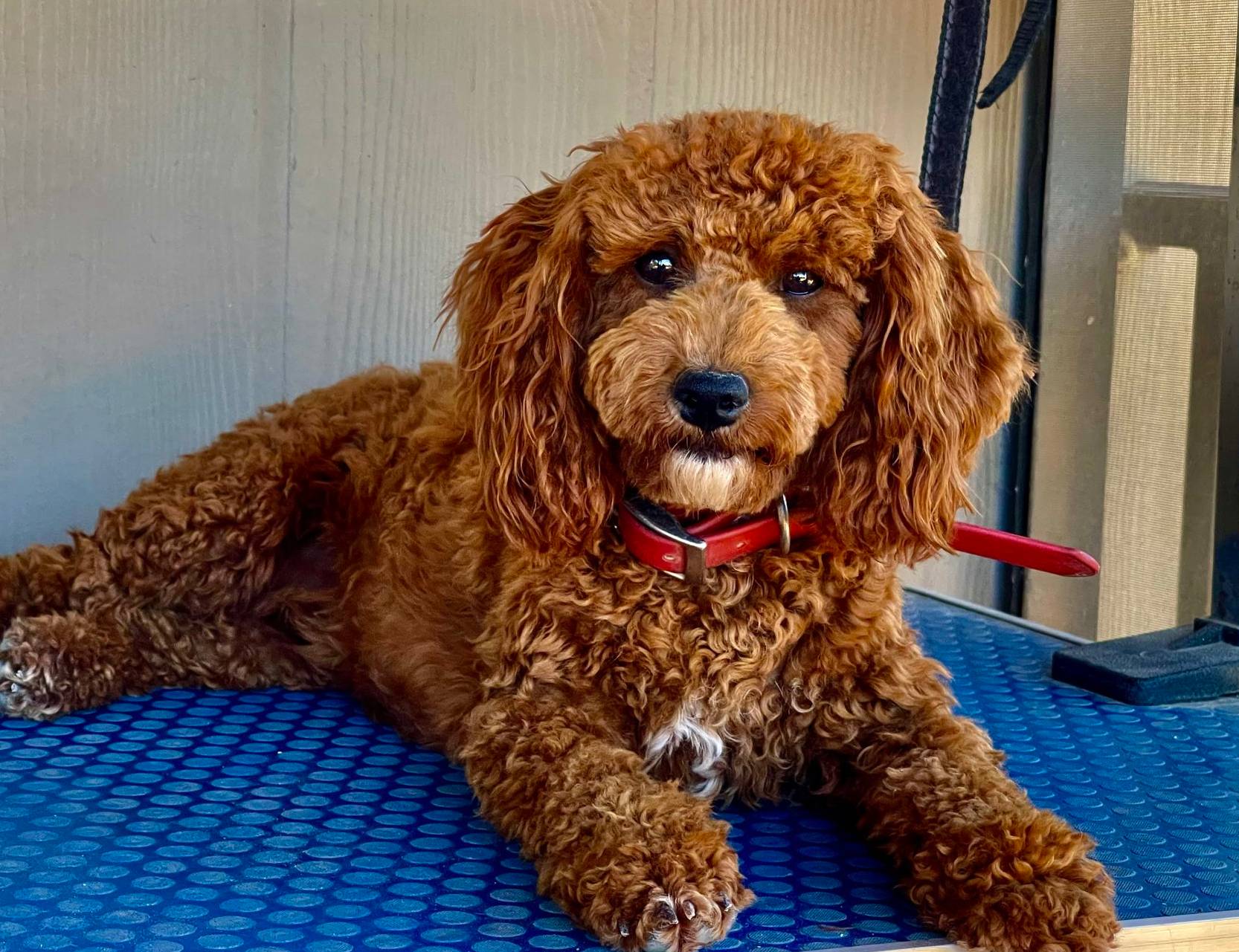 a2a940c2-0852-4fd2-a2b9-3ecabe0d3732/listing/ac67ee51-a195-4c0a-a9bf-cf339d5d0ef0/7454457b-b249-4806-b4ab-dd95ca3a360f