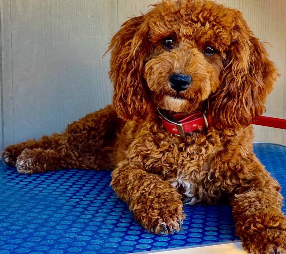 a2a940c2-0852-4fd2-a2b9-3ecabe0d3732/listing/ac67ee51-a195-4c0a-a9bf-cf339d5d0ef0/d47f7358-9378-404f-b60b-dcb0ddffc55a