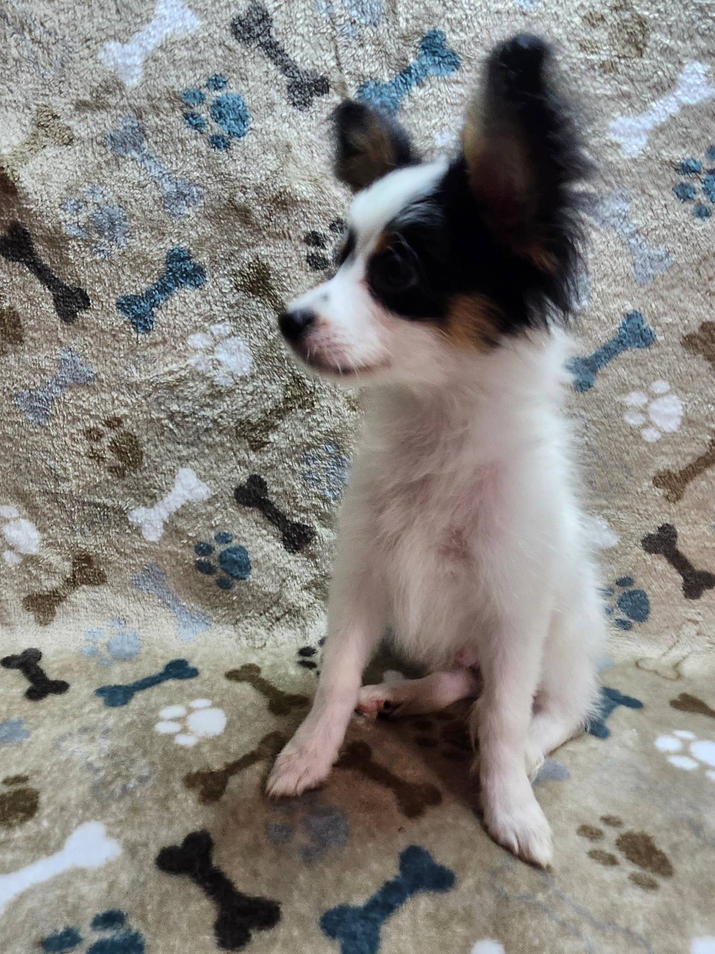 a4c7719a-8c1c-40f6-a437-e244a32b941a/listing/ba8c8c0a-6bac-4571-8598-06f5ca184be3/40d823df-677a-44f2-a5e6-8d7719849c31