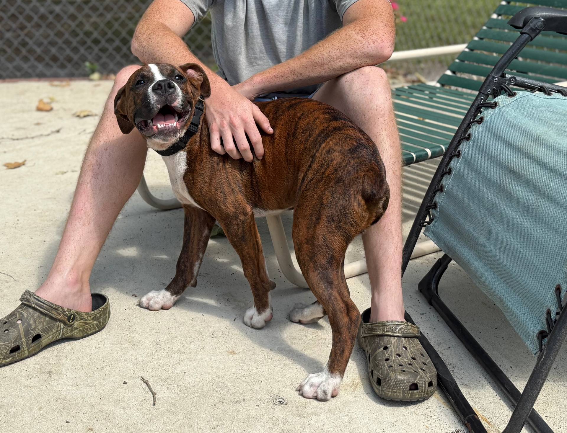 a9ae8038-2c21-48db-b46b-3db95b2b8a07/listing/70ecc936-11a7-46fb-9c26-1664c592c989/088d065d-4185-4fe1-8df4-05d27d21849e