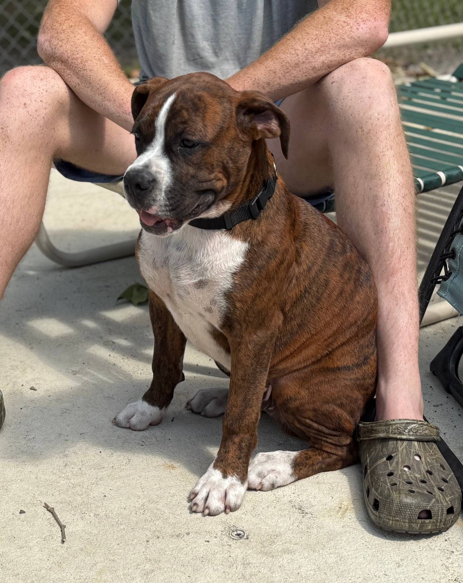 a9ae8038-2c21-48db-b46b-3db95b2b8a07/listing/70ecc936-11a7-46fb-9c26-1664c592c989/3c5254d5-7513-4656-854e-e0809bdb5bcd