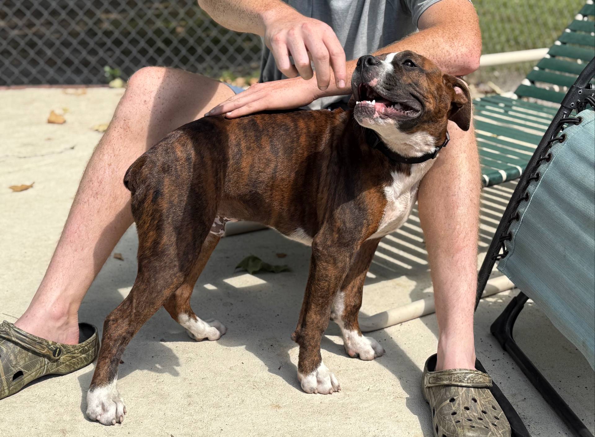 a9ae8038-2c21-48db-b46b-3db95b2b8a07/listing/70ecc936-11a7-46fb-9c26-1664c592c989/82a64105-b74a-4e7d-bdc4-6a806c7e5162