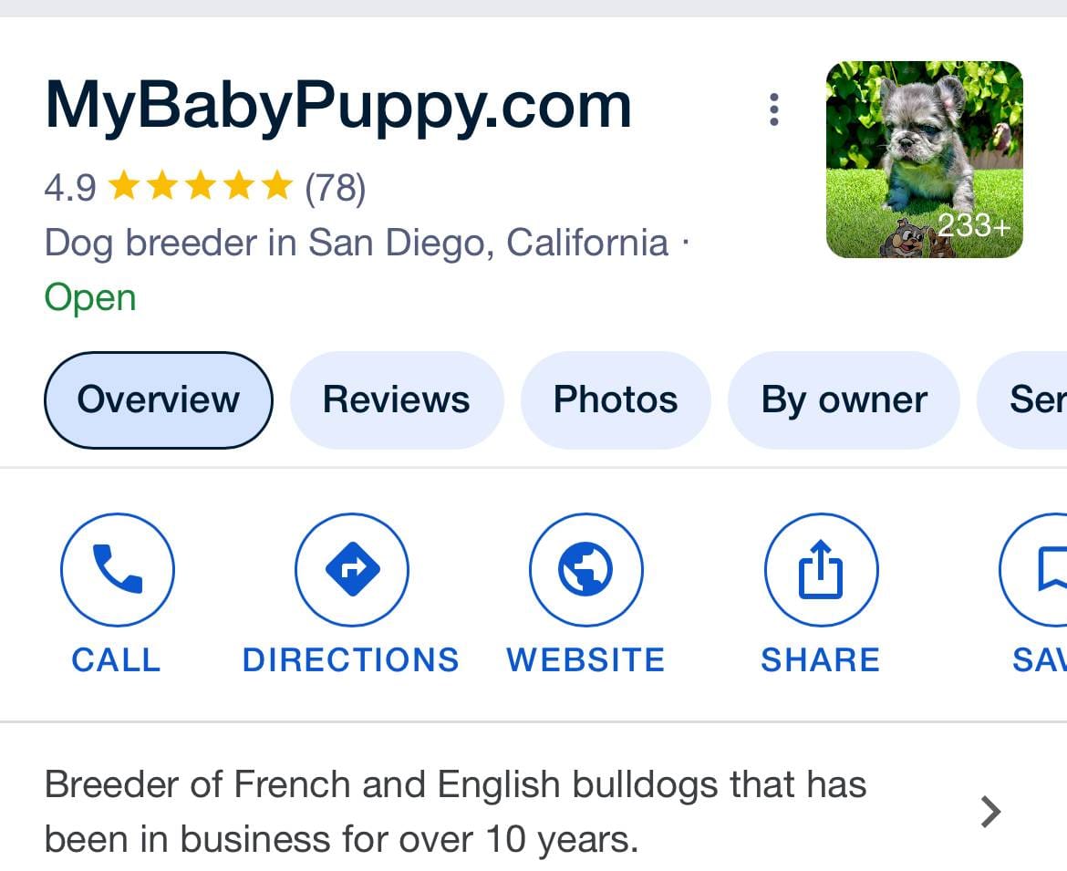 Coco (Big Rope Fluffy), a female French Bulldog for sale in San Diego, CA – Photo 5 of 5