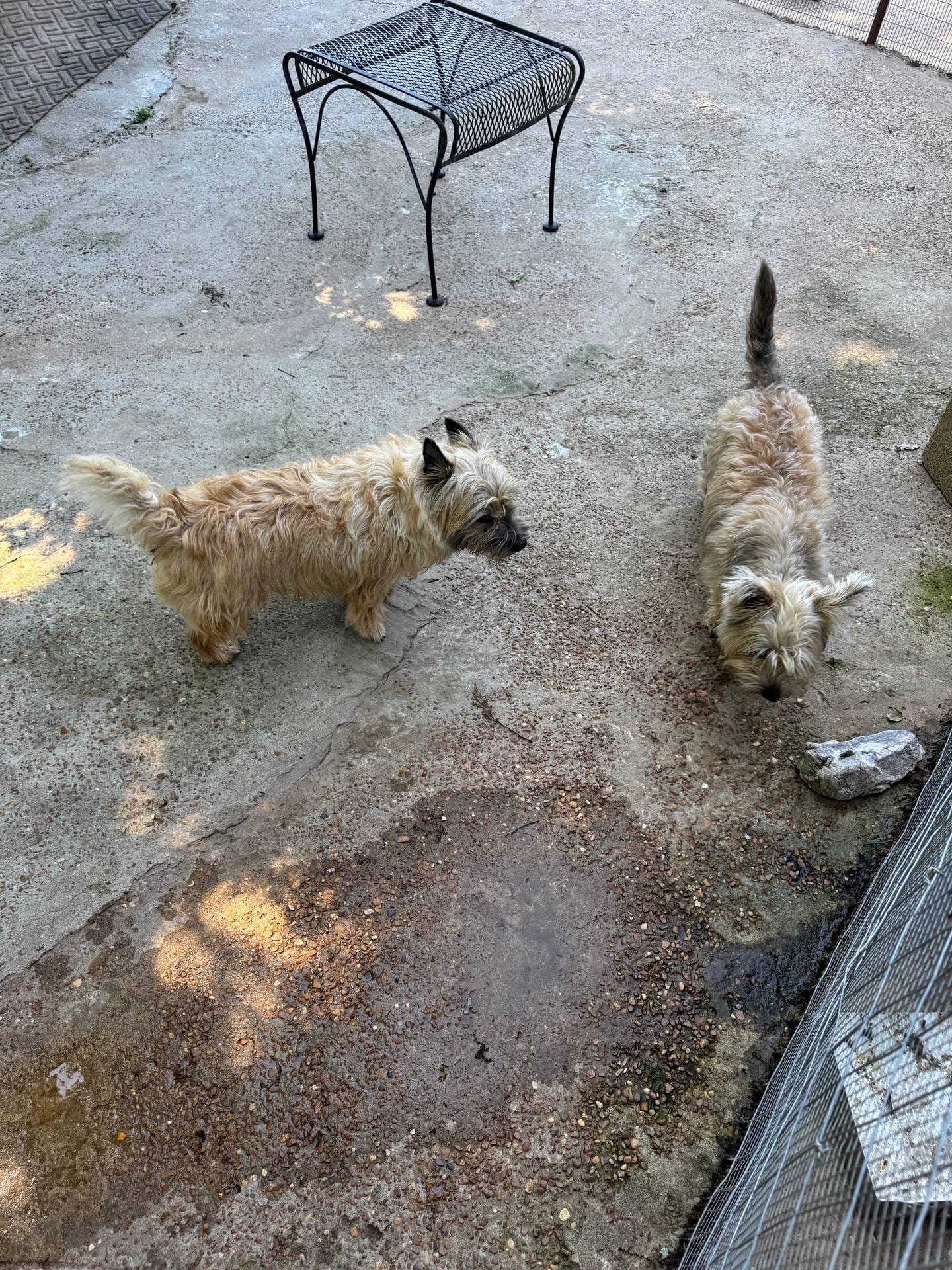 ac1c9204-1452-45cd-a972-5f18a101f05c/listing/5706020b-7095-425c-a596-425ca1c72a25/352f1455-4a33-4f0d-b295-1eb82c371f00