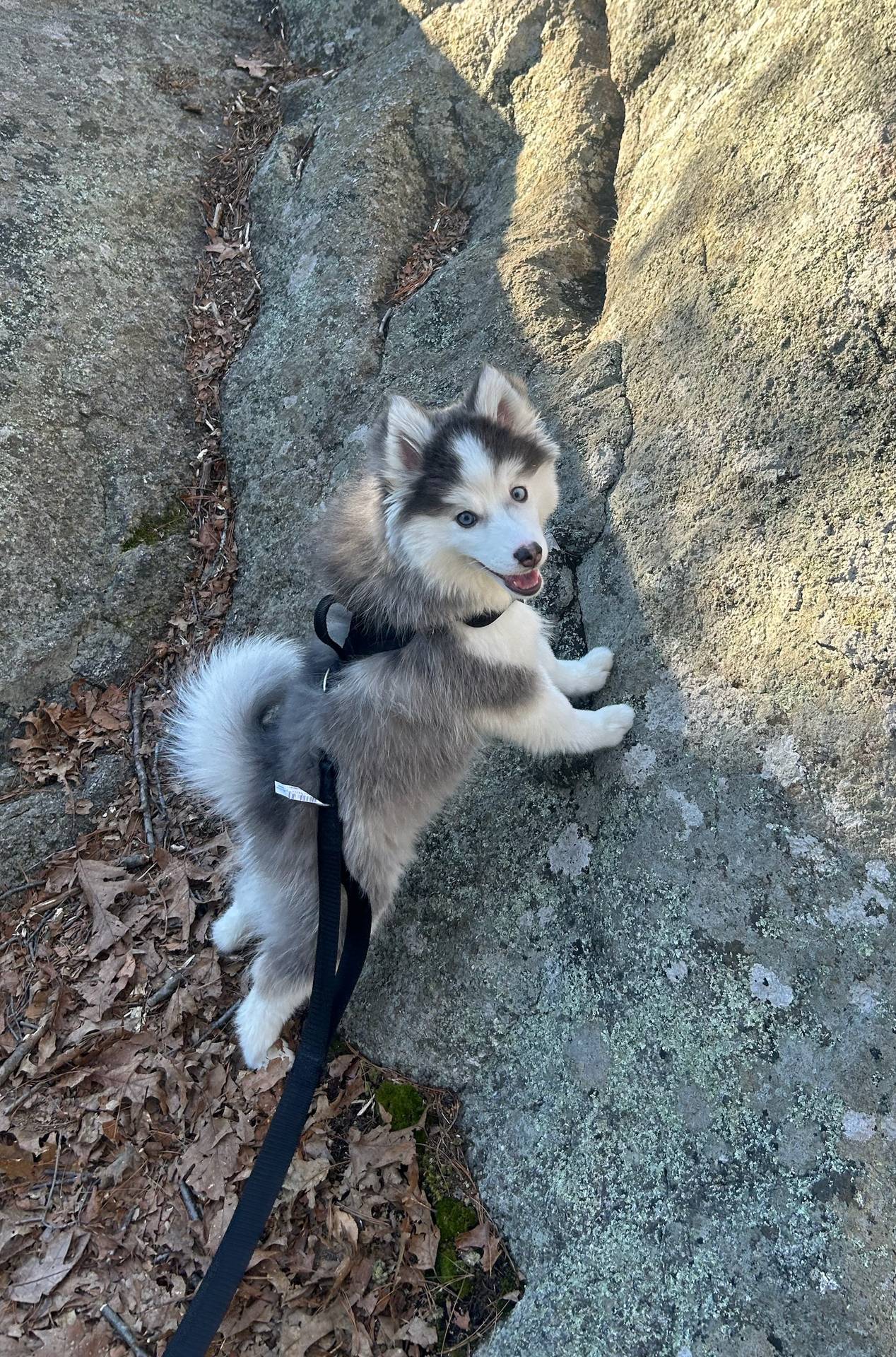 ac448cfb-bb42-4bbf-92ab-b20e8bd25c5a/facility/2fbf7cdb-db30-4466-89ab-454f37c91db9