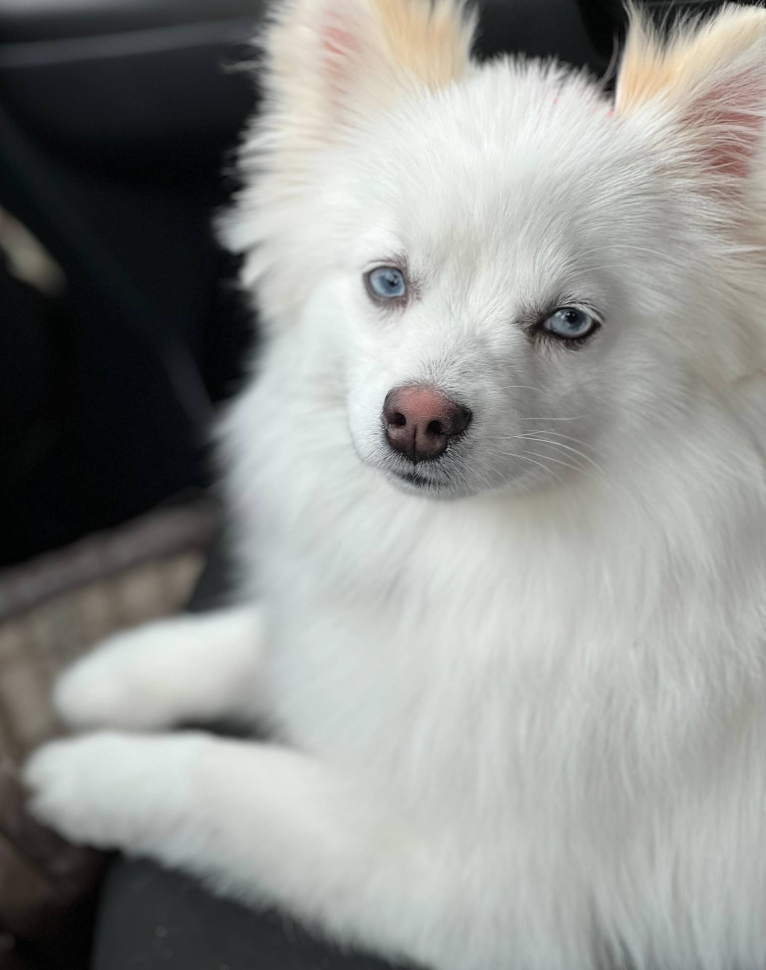 ac448cfb-bb42-4bbf-92ab-b20e8bd25c5a/facility/5c5b3dd1-926f-4ae6-b7c9-f3eac56fd05b