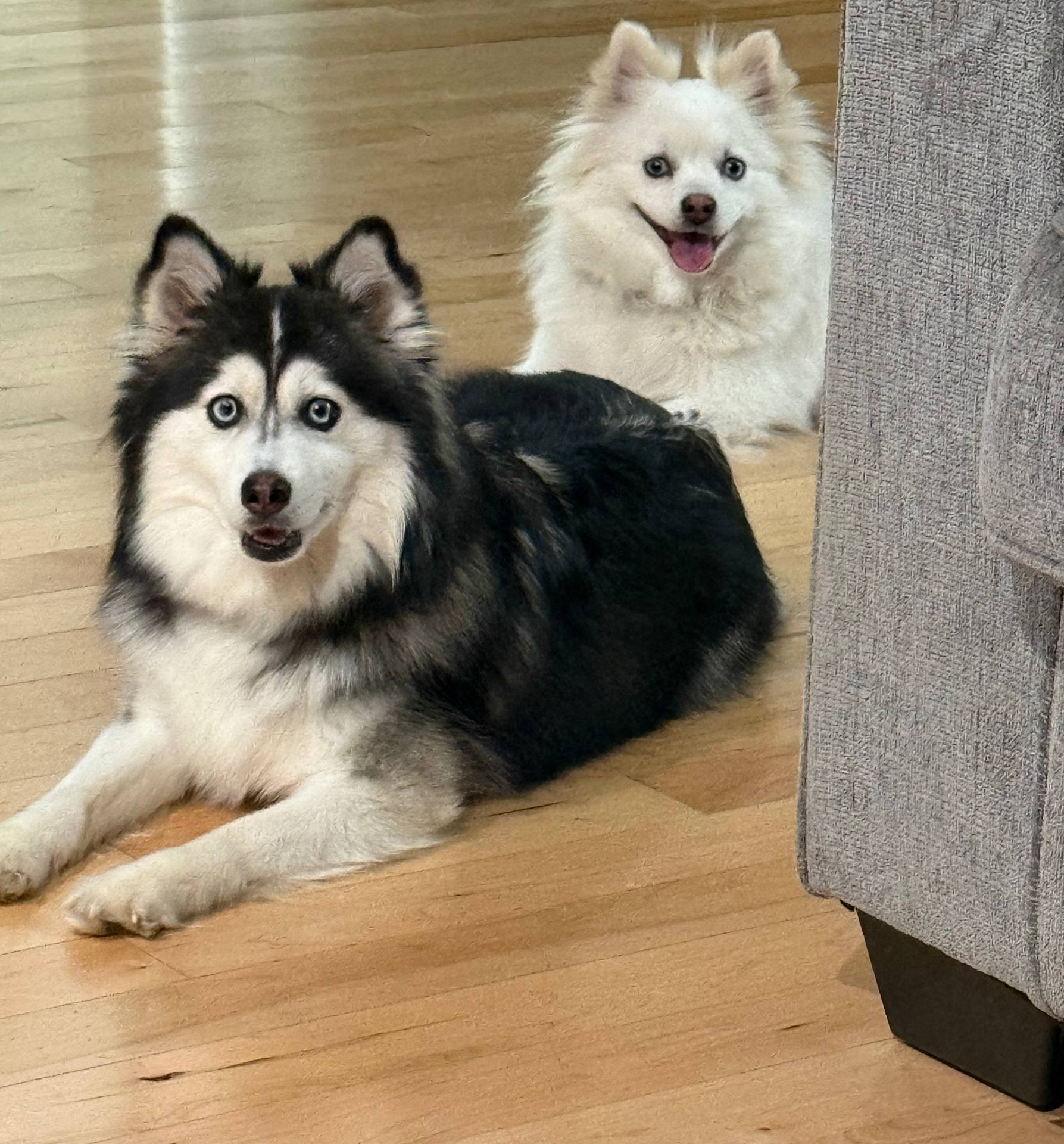 ac448cfb-bb42-4bbf-92ab-b20e8bd25c5a/facility/be5c37d5-e8dc-4143-ac9e-385bbcd2d26f