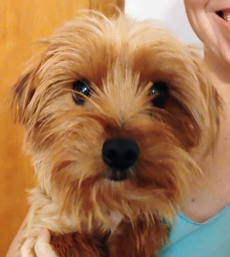 acb9c6f3-1bdd-4138-aa1f-c3ea030fd83e/facility/1545514b-ae4f-4031-997a-2d98424c5873