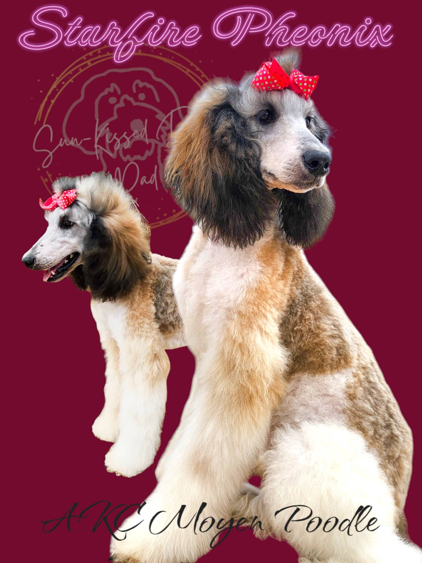 acb9c6f3-1bdd-4138-aa1f-c3ea030fd83e/facility/82eba597-7f82-41c5-8497-73c3b5de8276