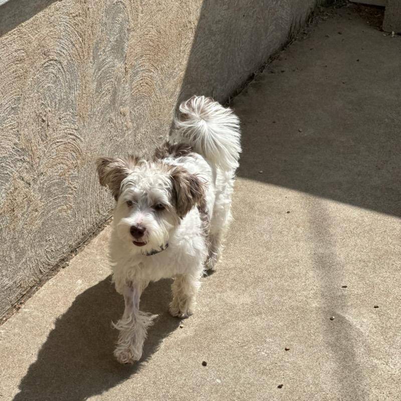 aeed1a4e-62ff-43e6-8458-6c769fa60c1a/facility/dba53f67-9cc3-4692-ae09-d8dc90998eb6