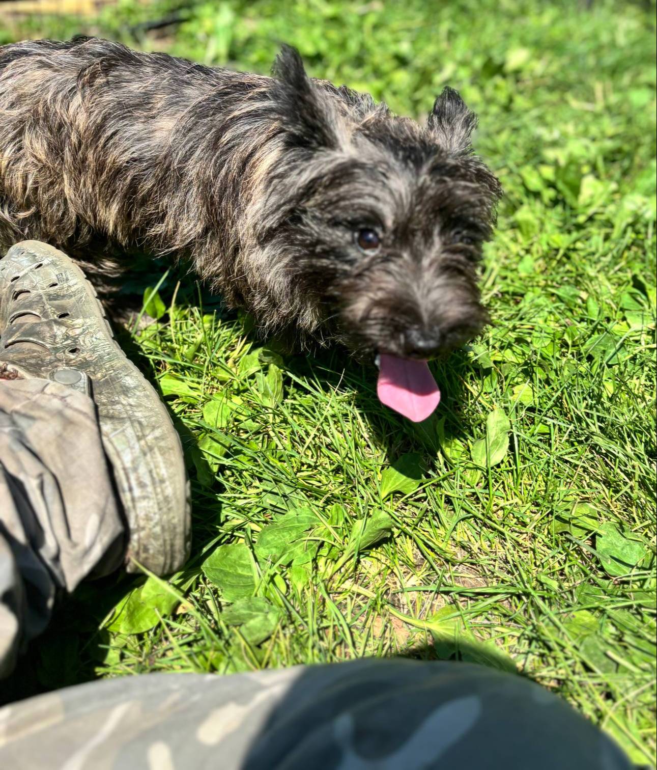 b022dc9f-76a8-46ad-98e3-bd6c20bf0dfa/listing/b466854b-e0a2-4054-8bec-81410cebce57/8528851d-f8c6-484f-a69c-f0047aa8963e