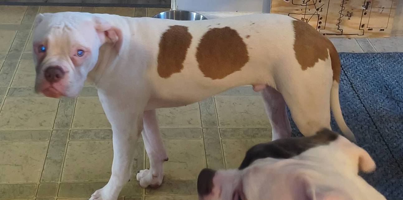 b02efdc1-394e-461a-bcf8-8e6caa922e7a/listing/30a6f28b-33ca-4f42-8dbc-cd95ea2f807d/10b47ca5-0fc9-45e1-b254-7bceeb09389c