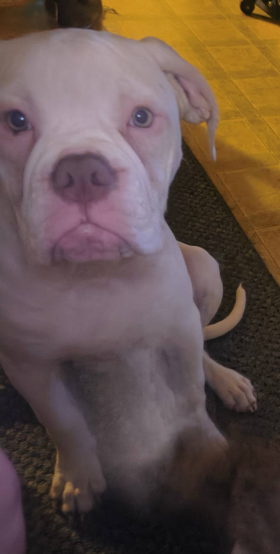 b02efdc1-394e-461a-bcf8-8e6caa922e7a/listing/30a6f28b-33ca-4f42-8dbc-cd95ea2f807d/72fb4d00-4f13-424a-afac-858fcb03c6a2