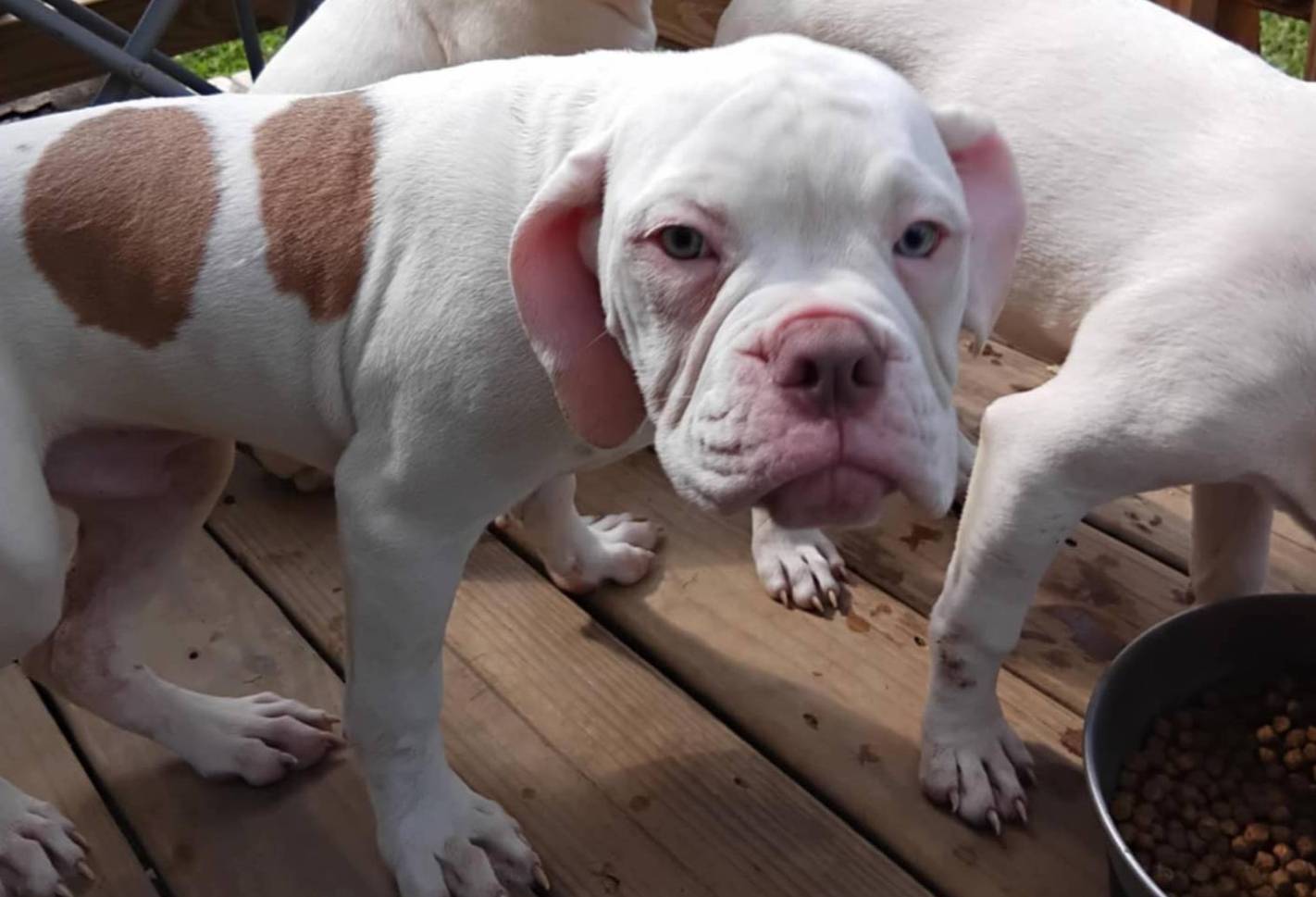 b02efdc1-394e-461a-bcf8-8e6caa922e7a/listing/30a6f28b-33ca-4f42-8dbc-cd95ea2f807d/b9e63457-e7ed-4231-bdf3-345b1dc74585