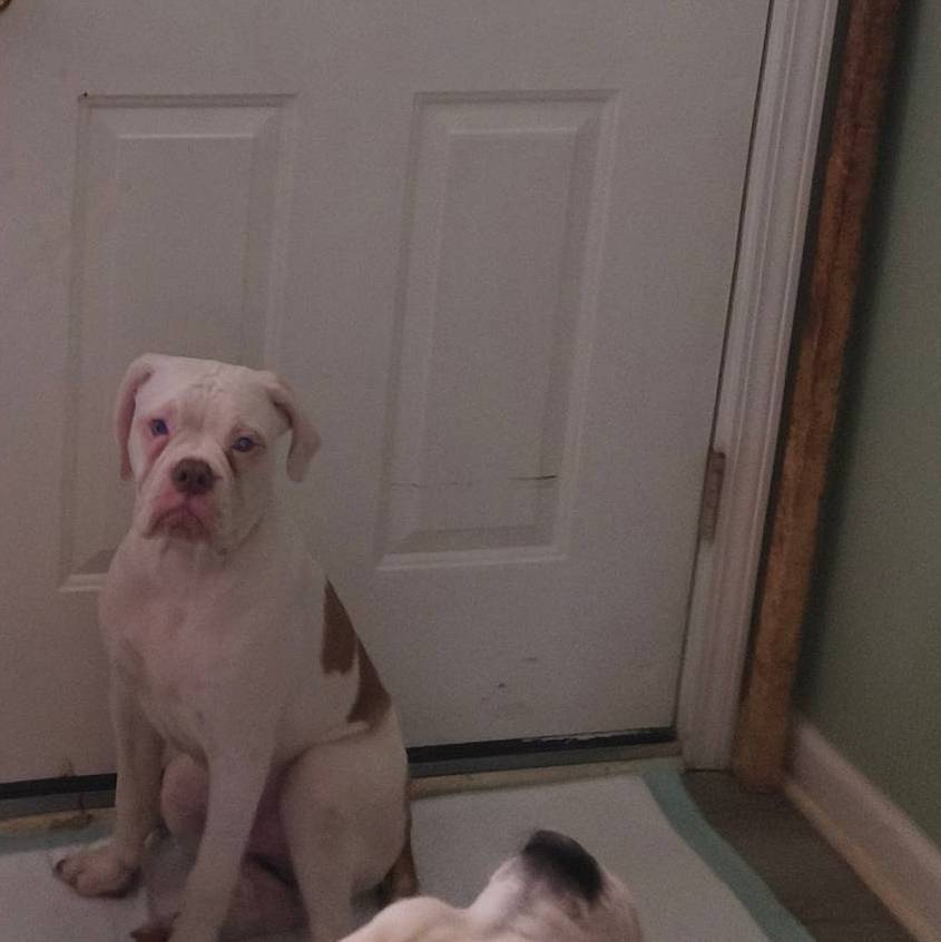 b02efdc1-394e-461a-bcf8-8e6caa922e7a/listing/30a6f28b-33ca-4f42-8dbc-cd95ea2f807d/cc0783a6-3254-428e-837f-21165574f5ff