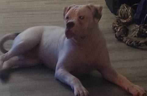 b02efdc1-394e-461a-bcf8-8e6caa922e7a/listing/506516dd-7c65-420d-860a-1c9f319fc3db/1ddd383a-8e1d-4b75-b186-790cb717b7d9